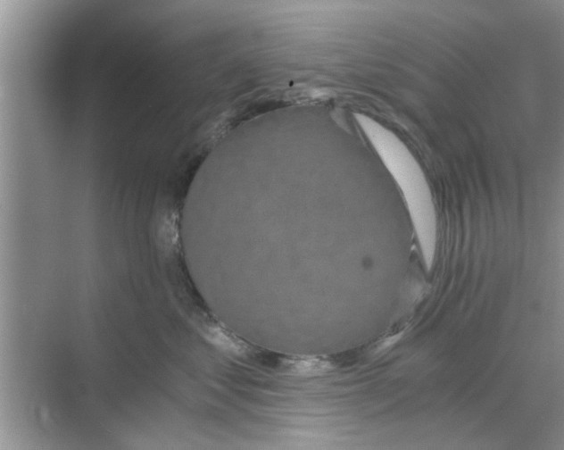 X0000068750621200605121611