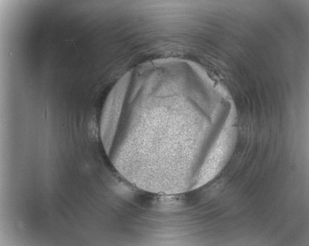 X0000068750622200605121611