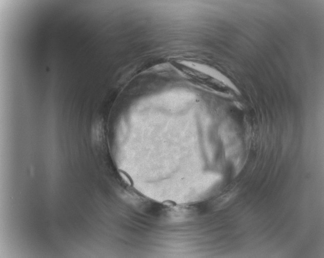 X0000068750623200605121611