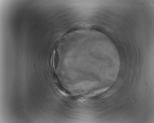 X0000068750624200605121611