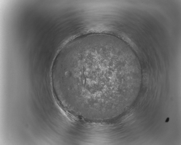 X0000068750626200605121610