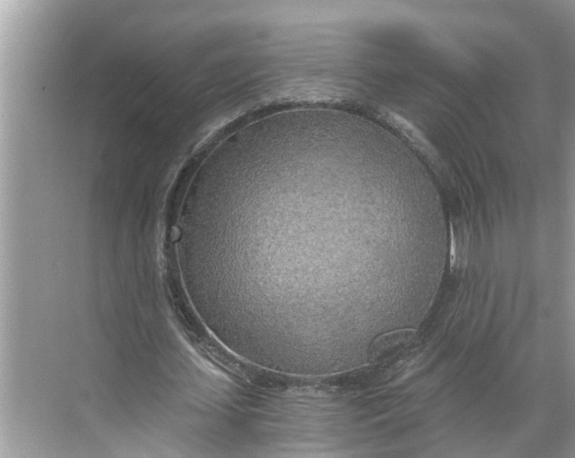 X0000068750627200605121610