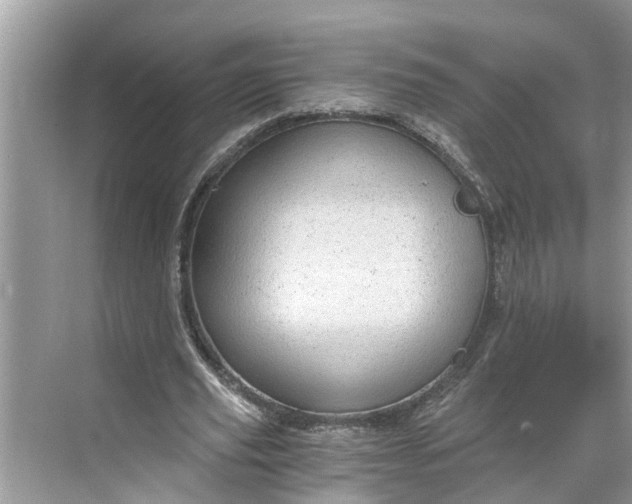 X0000068750629200605121610