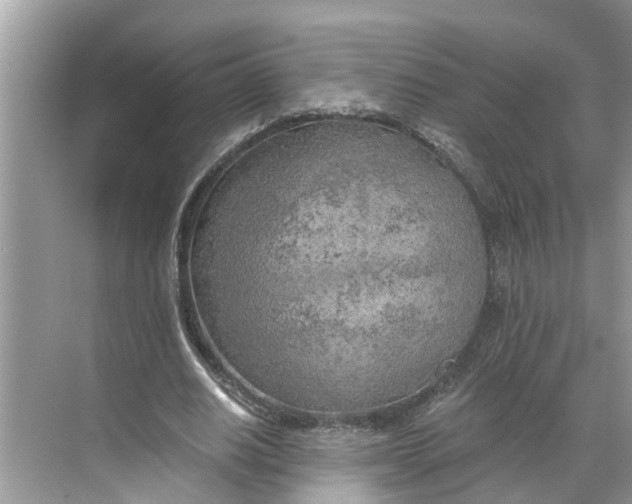 X0000068750630200605121610