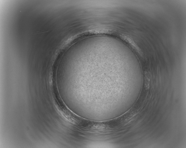 X0000068750631200605121610