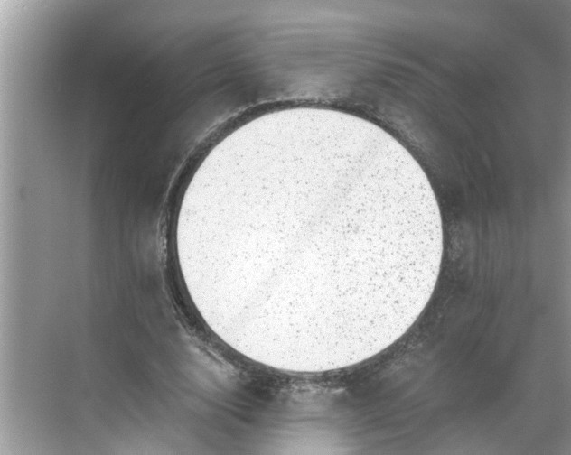 X0000068750632200605121610