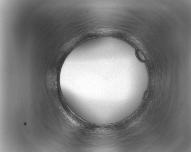 X0000068750633200605121611