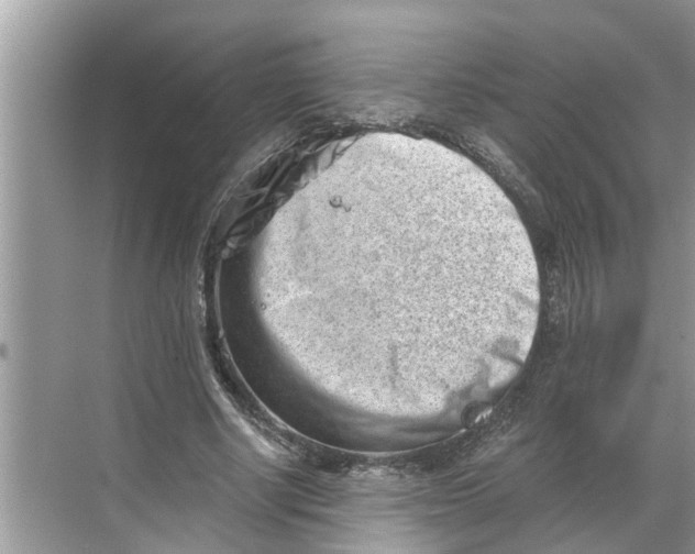 X0000068750634200605121611