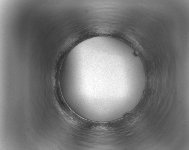 X0000068750635200605121611