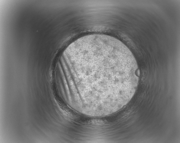 X0000068750636200605121611