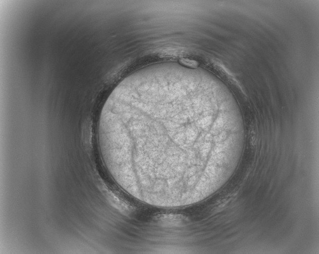 X0000068750637200605121611