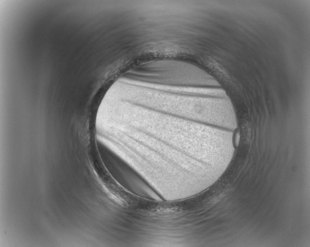 X0000068750638200605121611