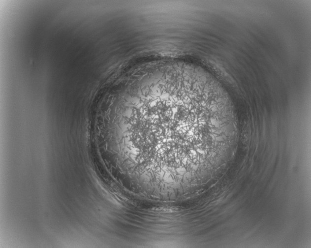 X0000068750639200605121611