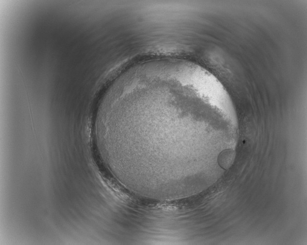 X0000068750640200605121611