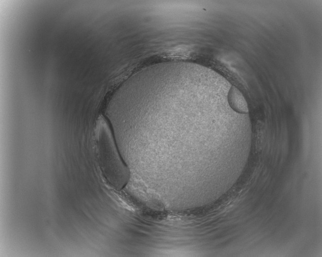 X0000068750641200605121611