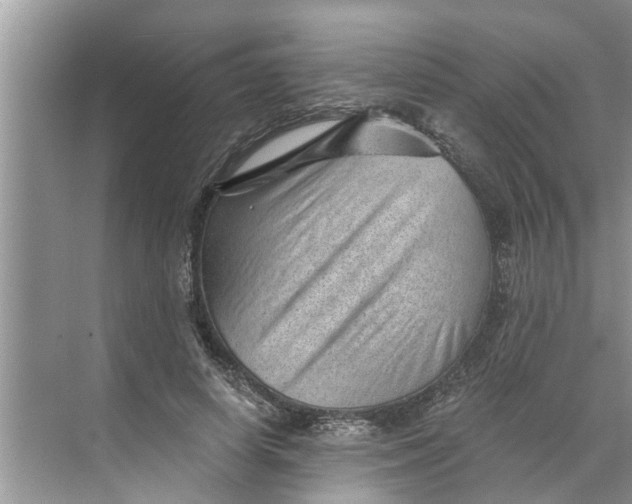 X0000068750642200605121611