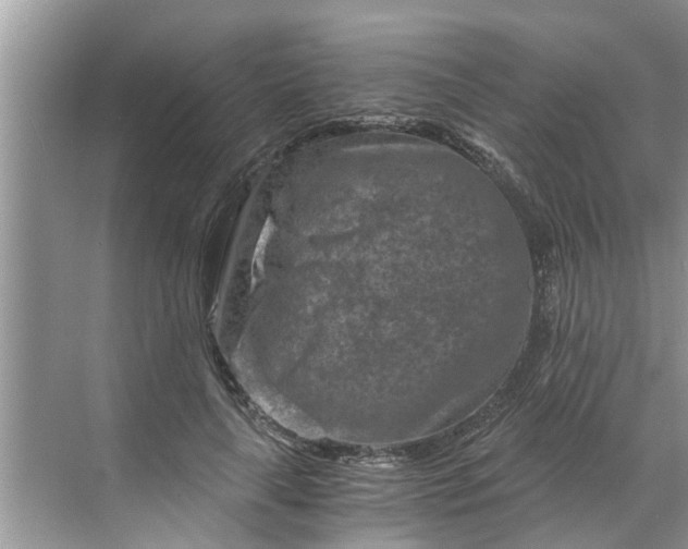 X0000068750643200605121611