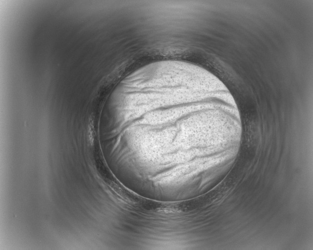 X0000068750644200605121611