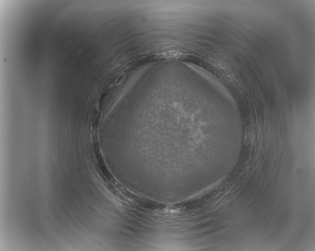 X0000068750647200605121611