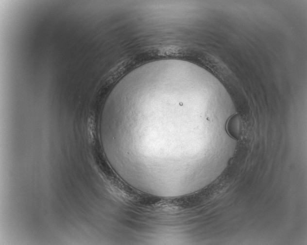 X0000068750648200605121611