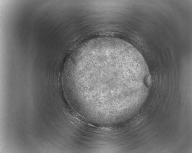 X0000068750649200605121611