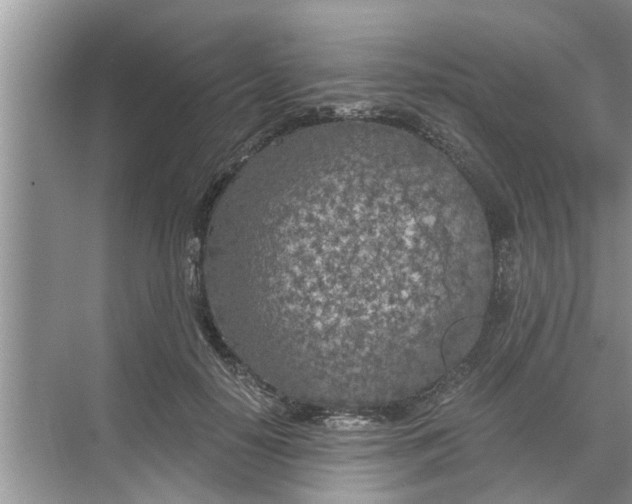 X0000068750650200605121611