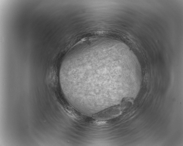 X0000068750651200605121611