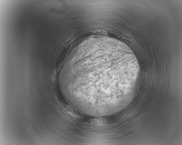 X0000068750652200605121611