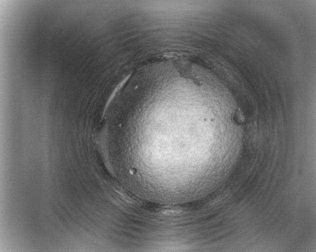 X0000068750653200605121611