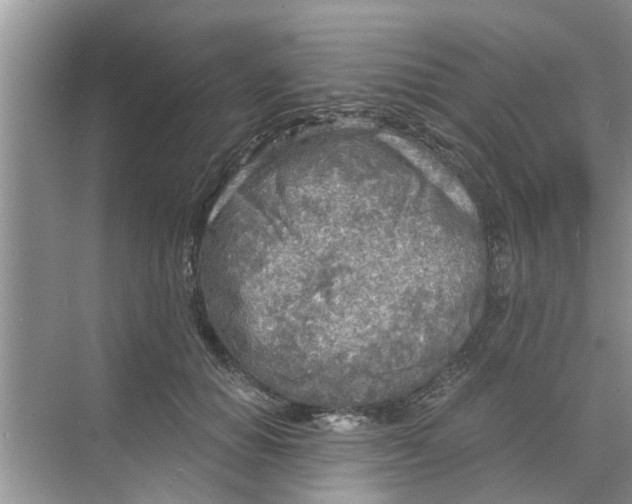 X0000068750654200605121611