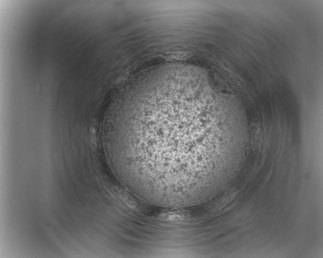 X0000068750655200605121611