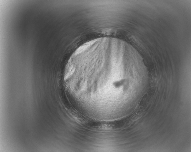 X0000068750656200605121611