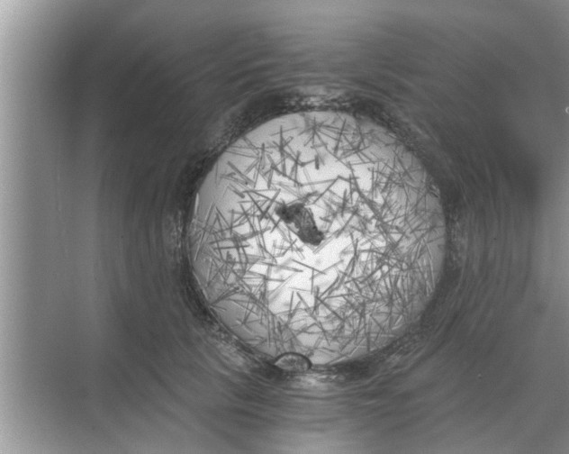 X0000068750657200605121611