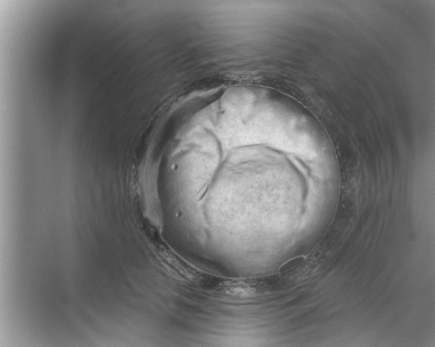 X0000068750658200605121611