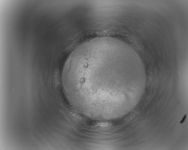 X0000068750659200605121611