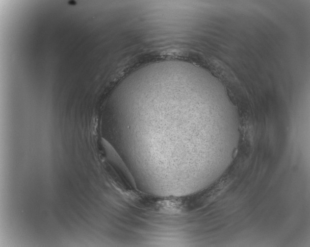 X0000068750660200605121611