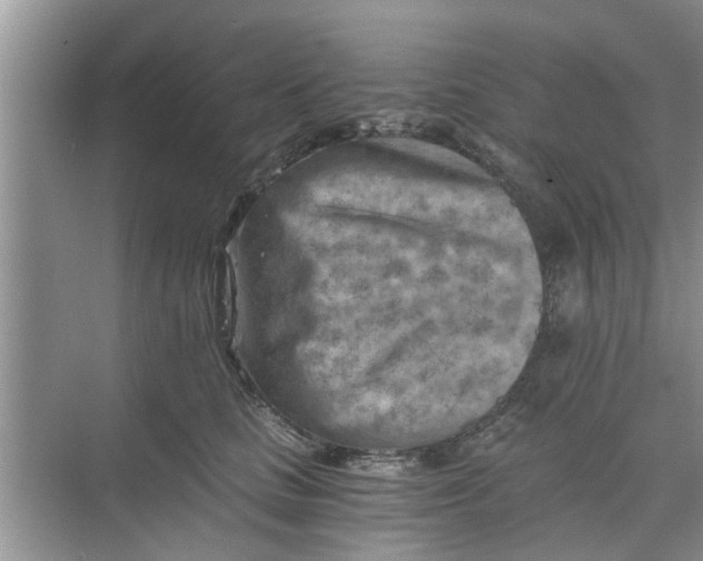 X0000068750661200605121611