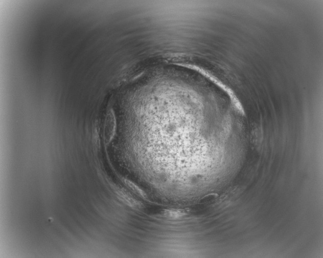 X0000068750662200605121611