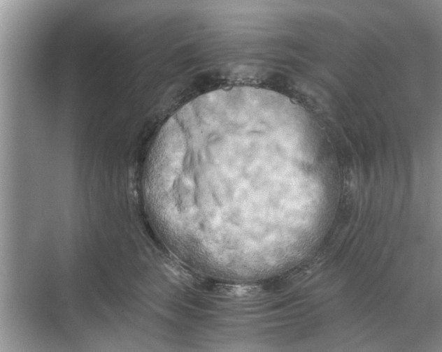 X0000068750663200605121611