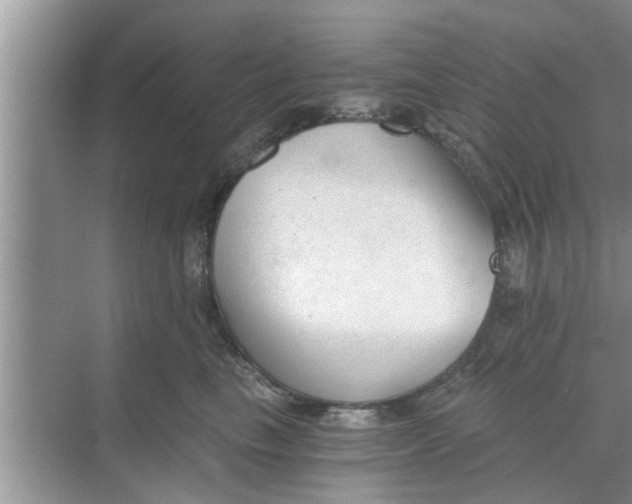 X0000068750665200605121611