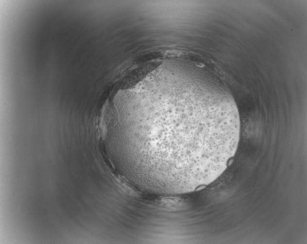 X0000068750666200605121611