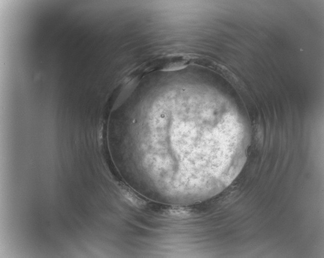 X0000068750668200605121611