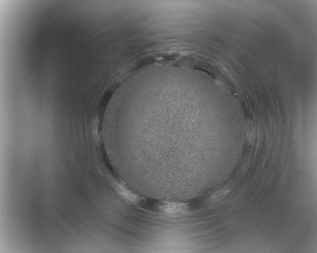 X0000068750670200605121611