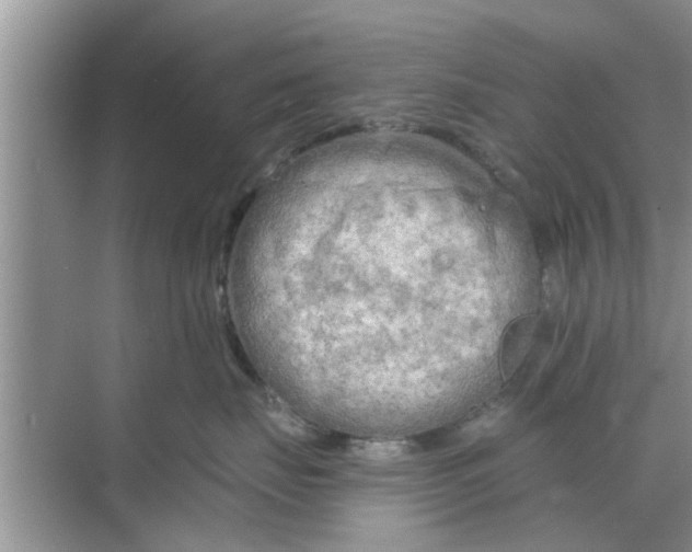 X0000068750671200605121611