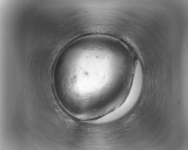 X0000068750673200605121610