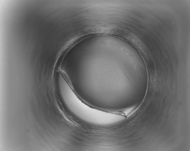 X0000068750674200605121610