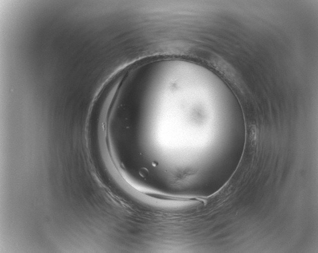 X0000068750676200605121610