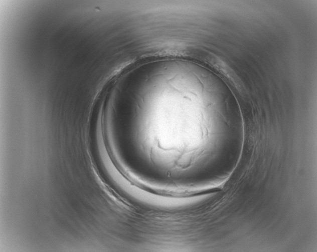 X0000068750677200605121610