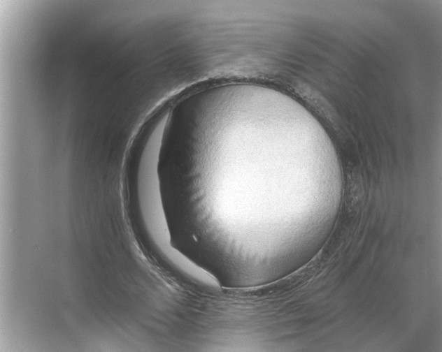 X0000068750680200605121610