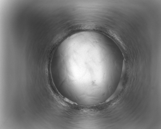 X0000068750681200605121610